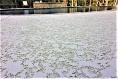 spray texture finish atlanta