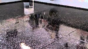 garage floor glitters