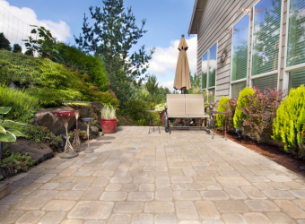 concrete patio with trees and outdoor plants