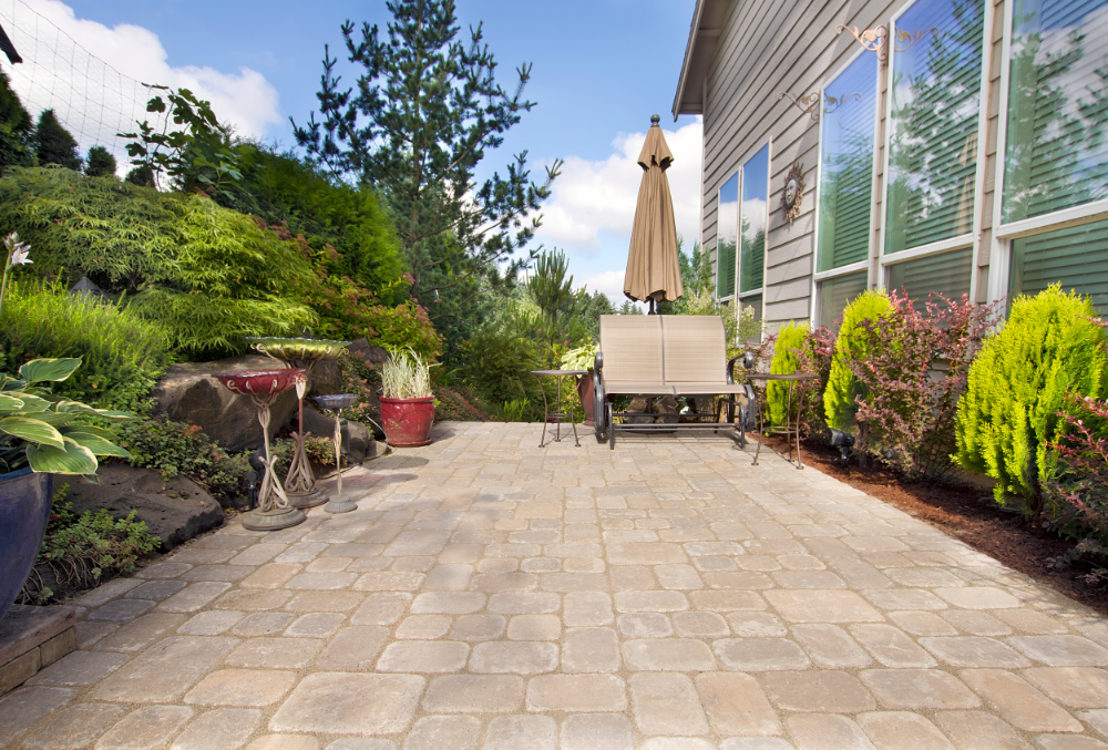 concrete patio with trees and outdoor plants