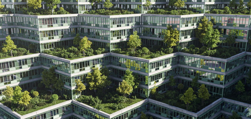 urban transformation
